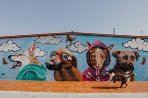 guarderia canina riverarce