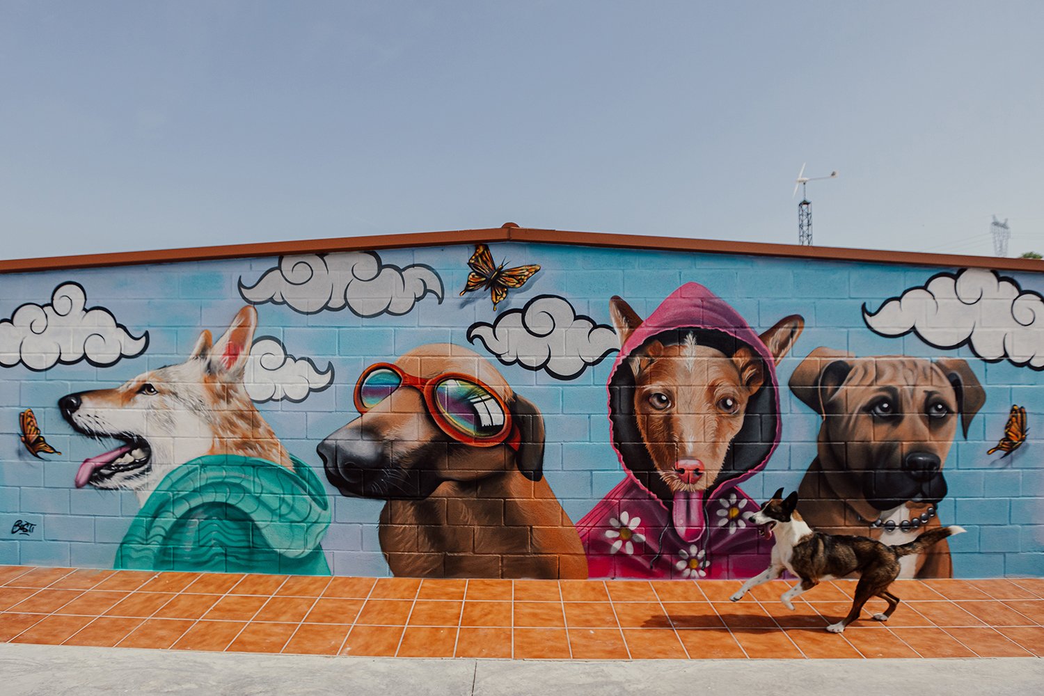 guarderia canina riverarce