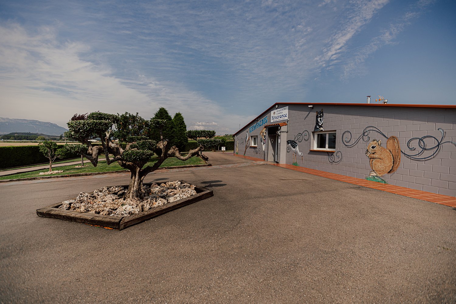 guarderia canina riverarce