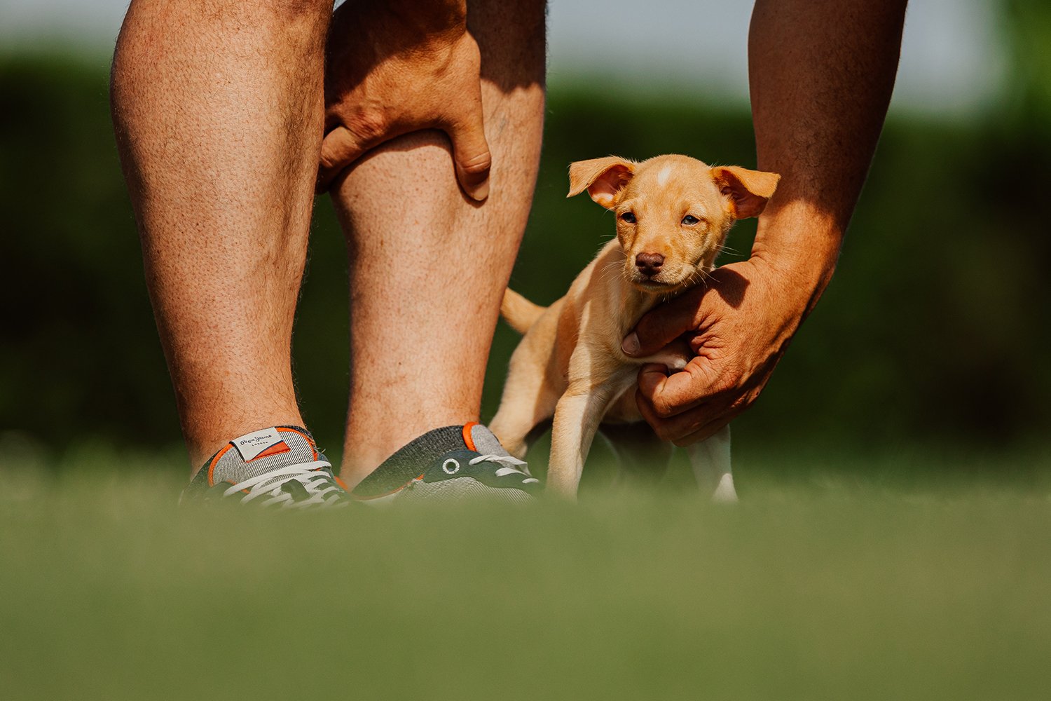 guarderia canina riverarce