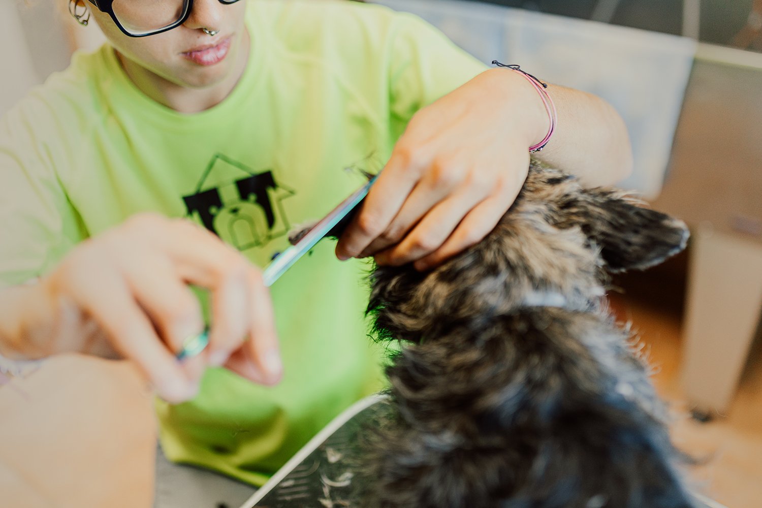 guarderia canina riverarce