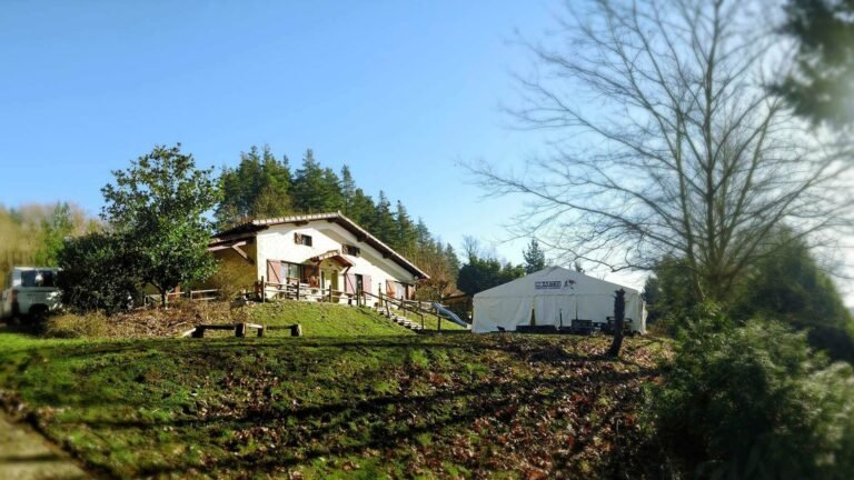 Centro Canino Indartxu – residencia canina en Álava