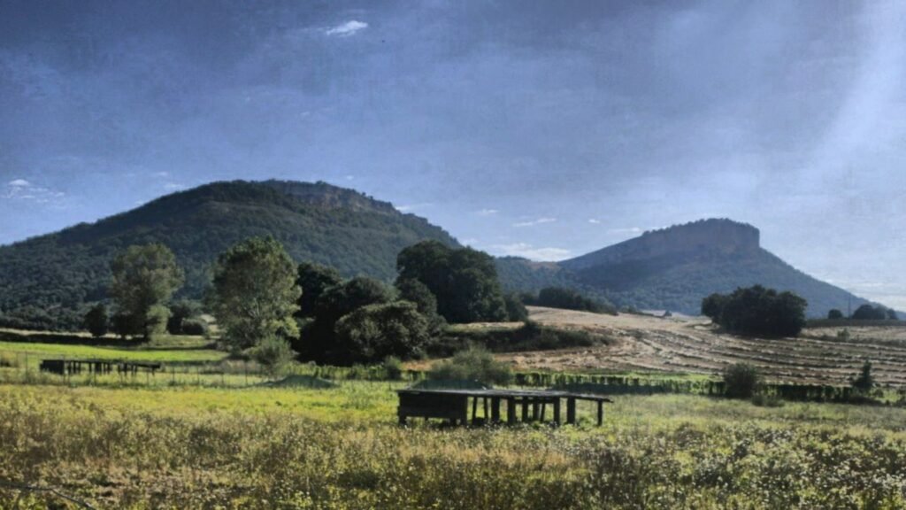 residencia canina durrumakan