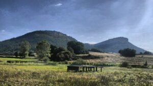 residencia canina durrumakan