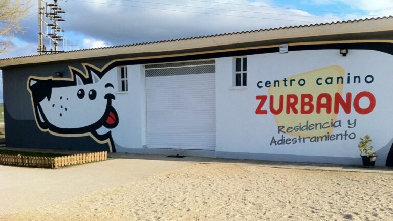 Centro Canino Zurbano – residencia canina en Álava