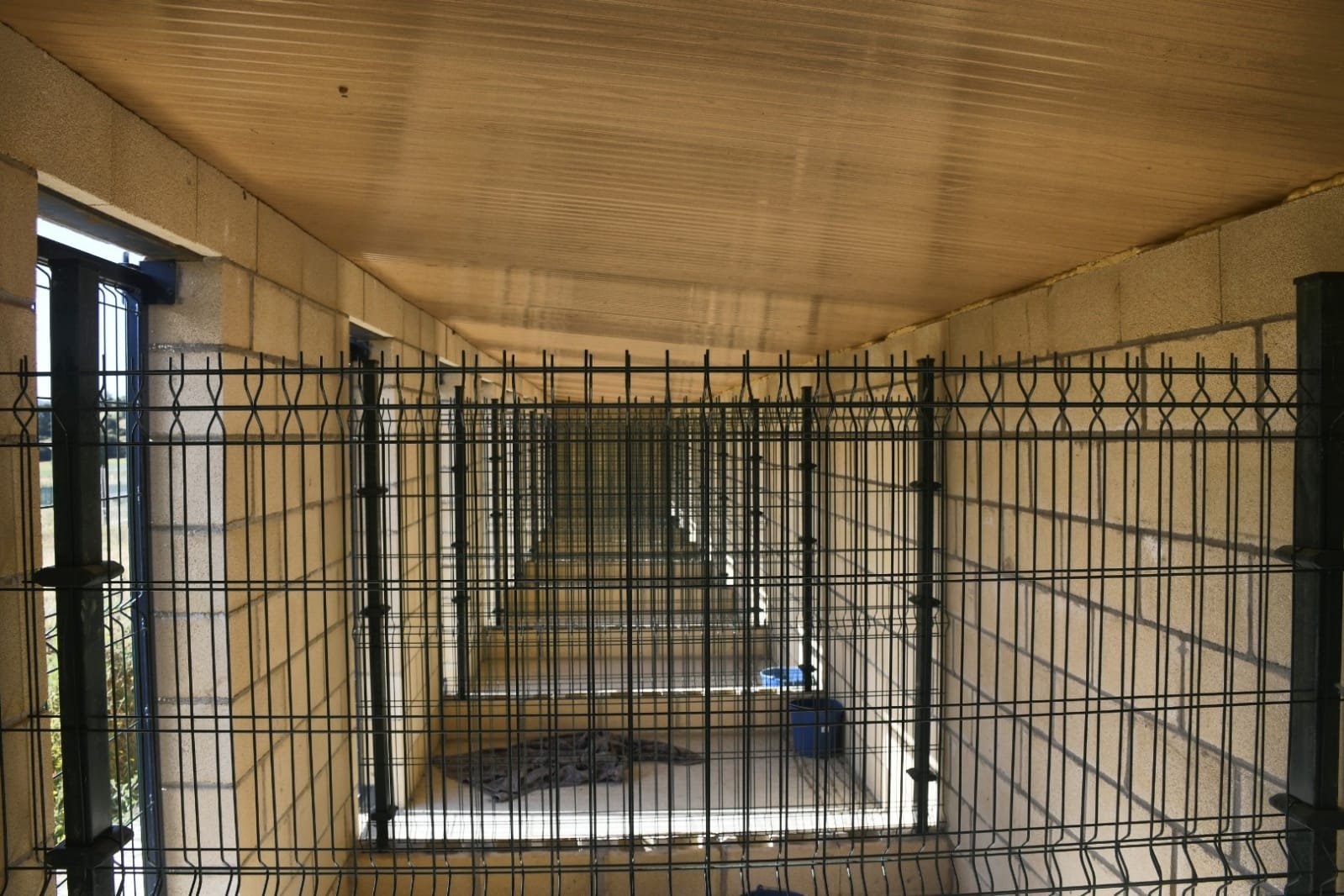 residencia canina durrumakan