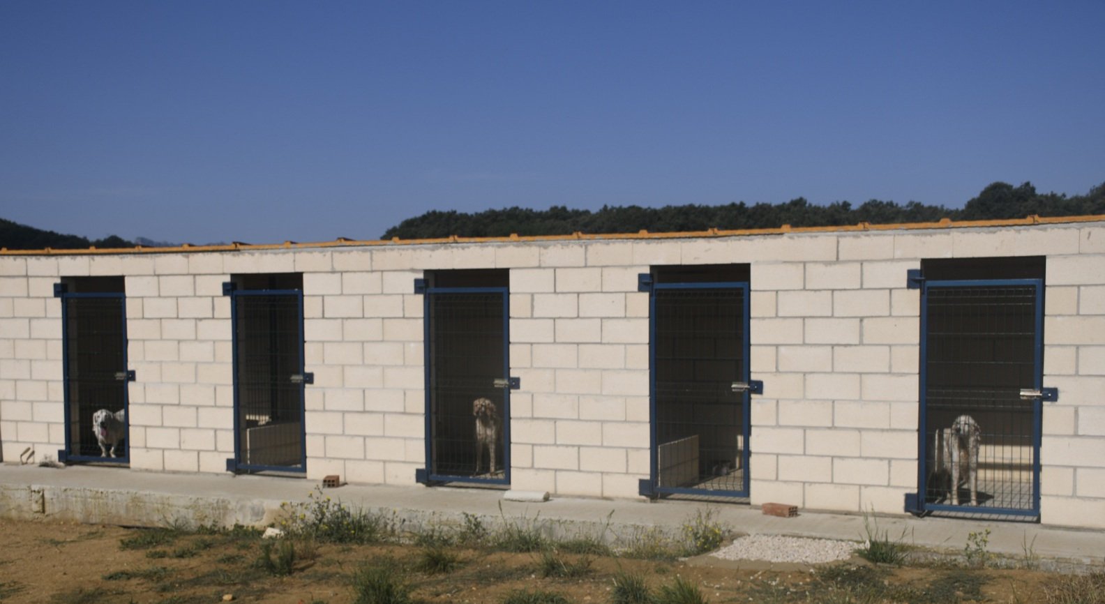 residencia canina durrumakan