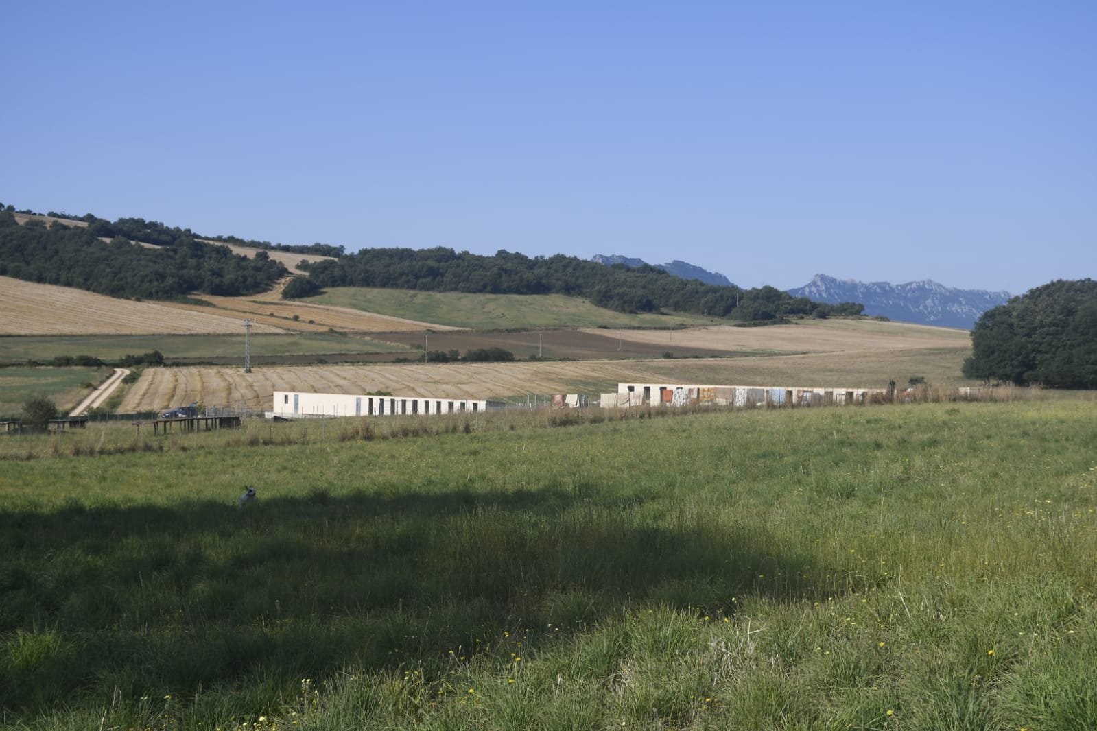 residencia canina durrumakan