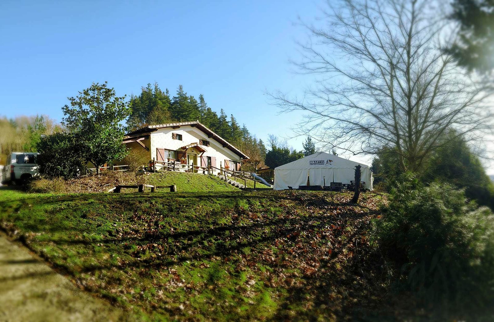 centro canino indartxu