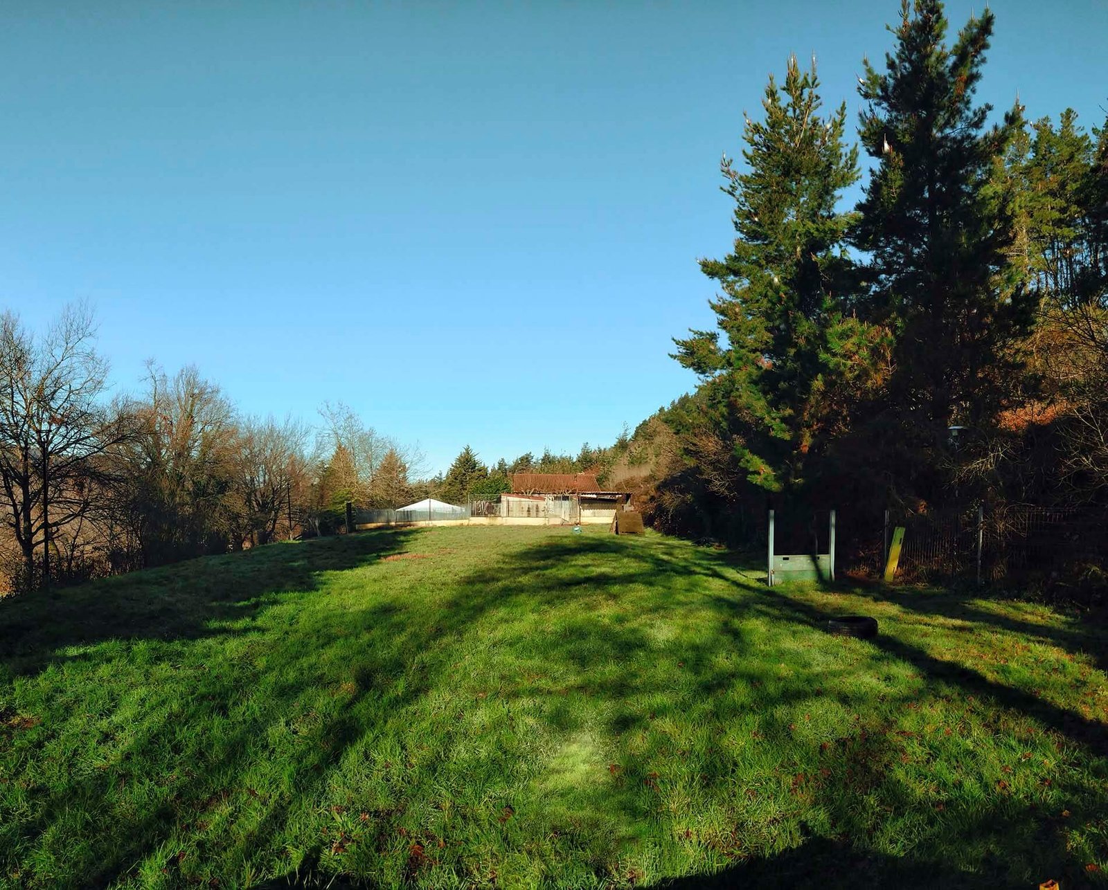 centro canino indartxu