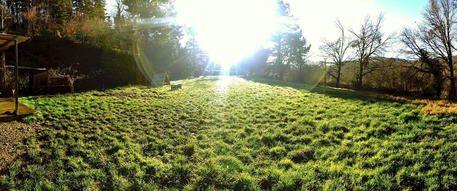 centro canino indartxu