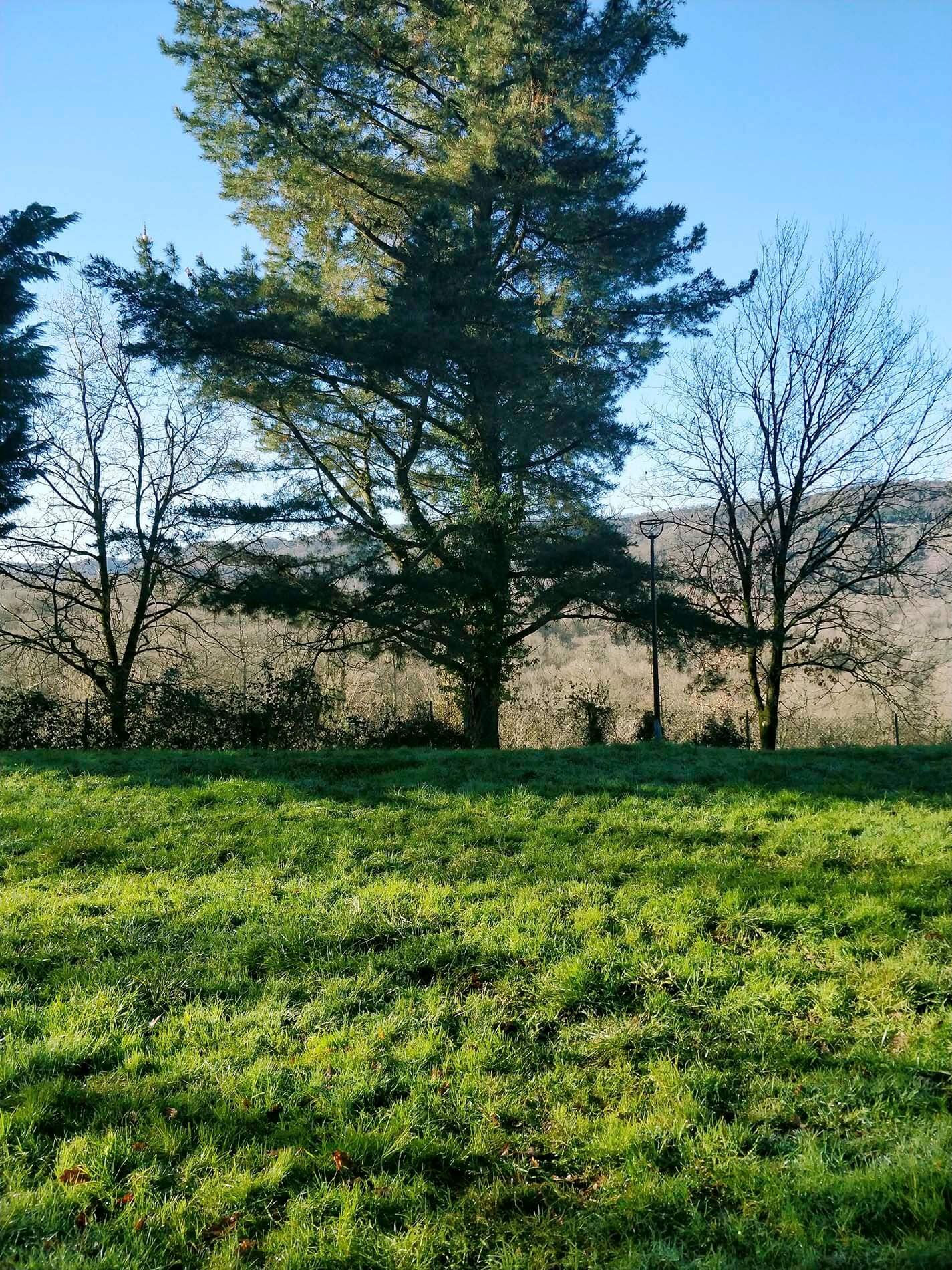 centro canino indartxu