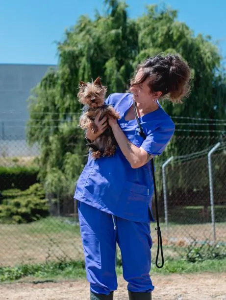 veterinaria cargando perro, nanclares