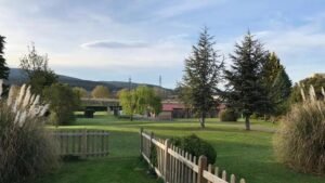 residencia canina nanclares