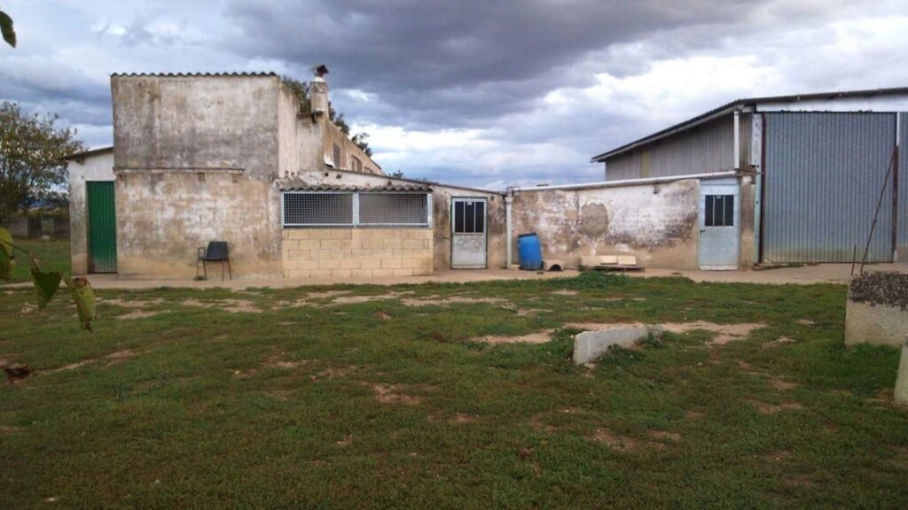guarderia canina estíbaliz