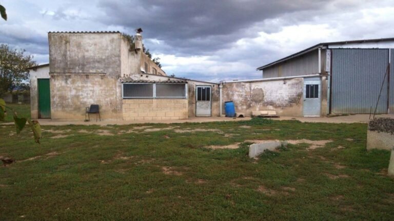 Guardería Canina Estíbaliz – residencia canina en Álava