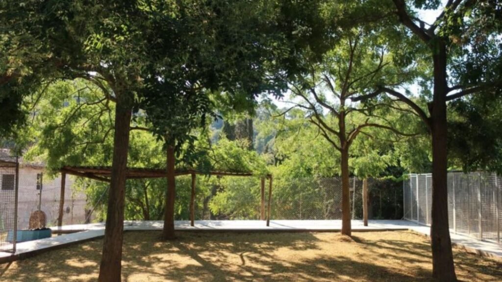 residencia canina can llosses