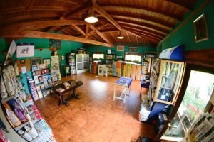 residencia canina kantarriketas