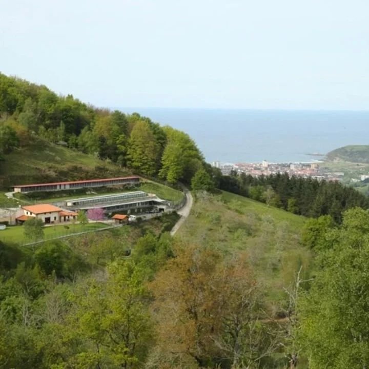 hotel canino sitcan urdaneta