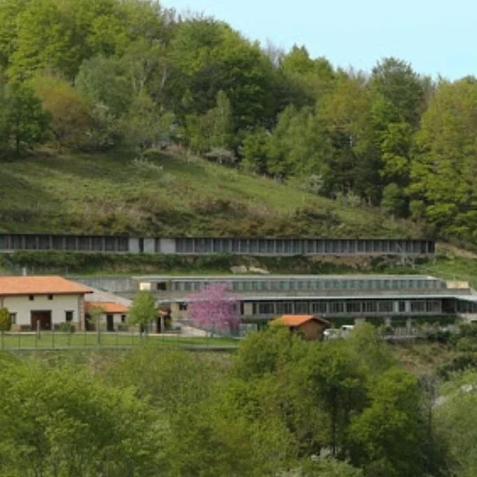 hotel canino sitcan urdaneta