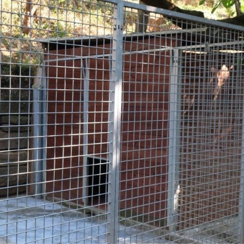 residencia canina can llosses