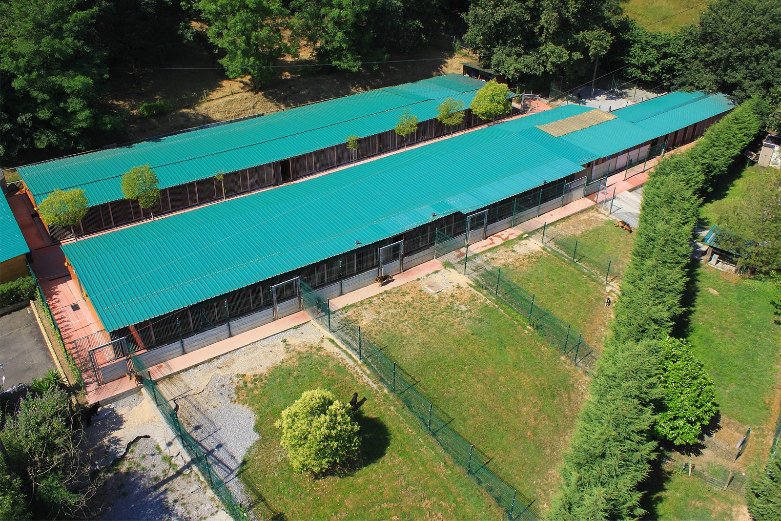 hotel canino Aiartza