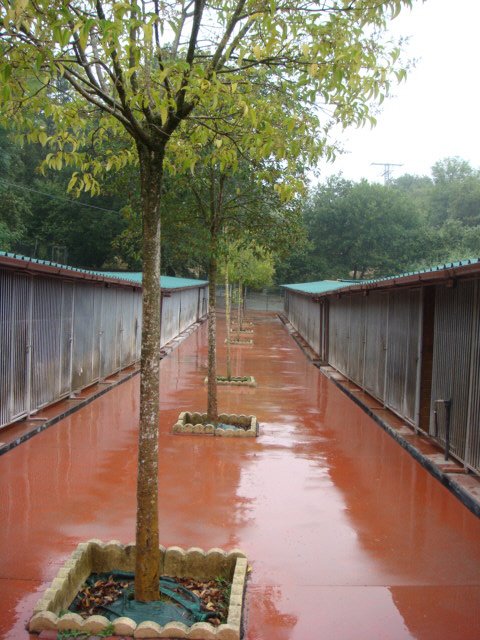 hotel canino Aiartza