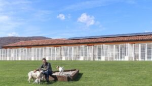 hotel canino mendixurbe