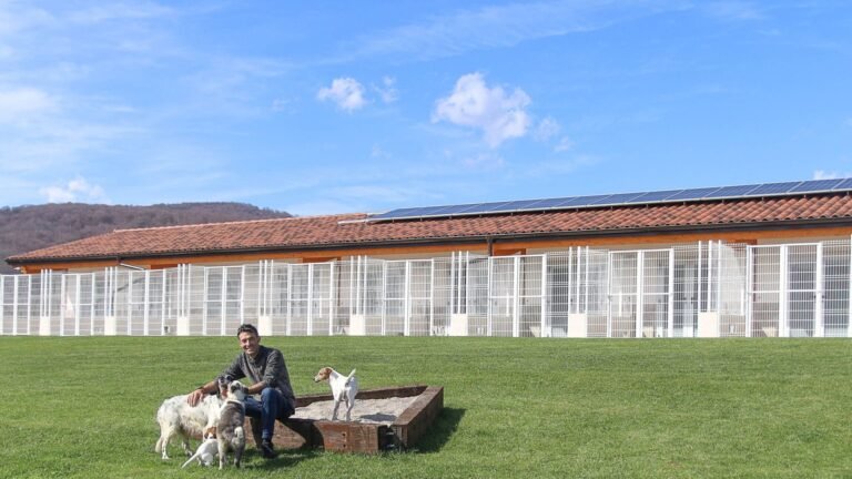 Hotel Canino Mendixurbe – residencia canina en Navarra