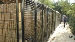residencia canina gorriye