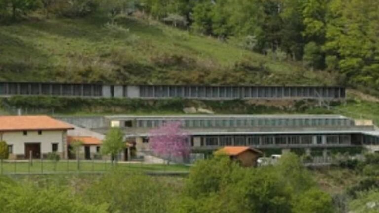 Hotel Canino SitCan Urdaneta – residencia canina en Gipuzkoa