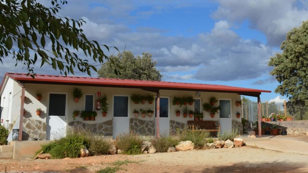 residencia canina granja la luna