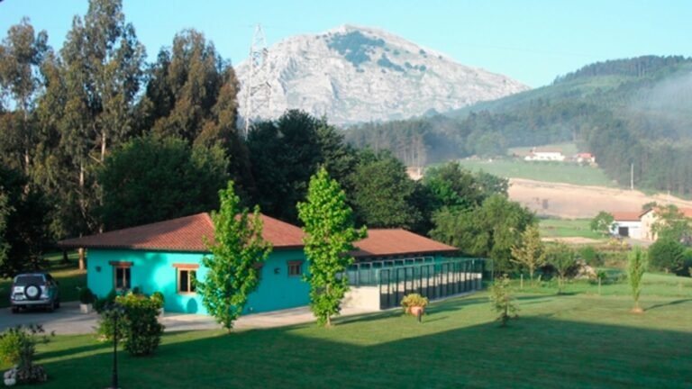 Residencia Canina Kantarriketas – residencia canina en Vizcaya