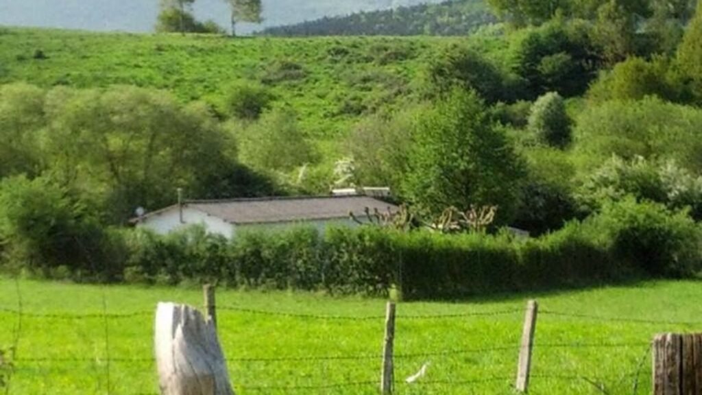 residencia canina las mascotas de ines