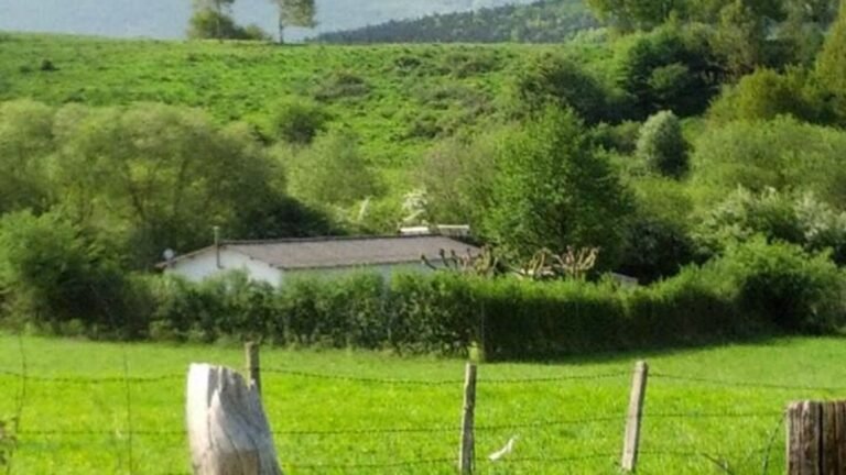 Residencia Canina Las Mascotas de Inés – residencia canina en Navarra