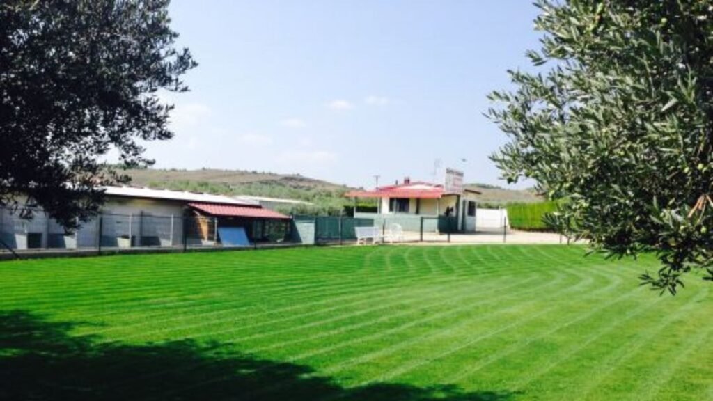 Centro canino el olivar