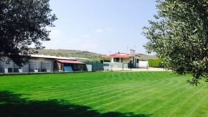 Centro canino el olivar
