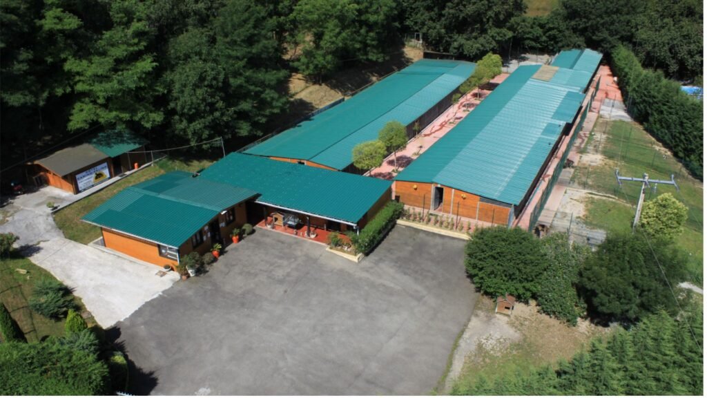 hotel canino Aiartza