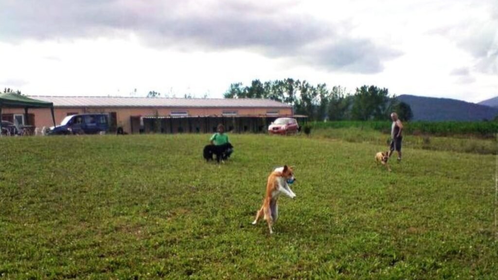 residencia canina basajaun