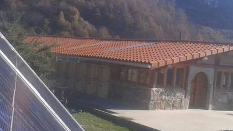 Hotel Canino Orbela Txakur Egoitza – residencia canina en Gipuzkoa