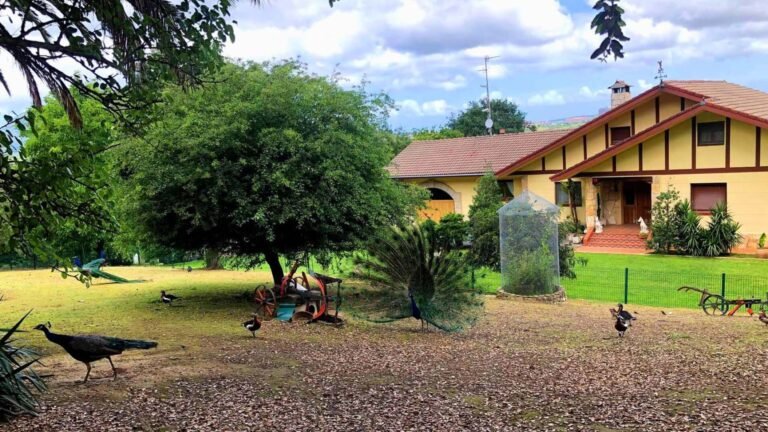 Hotel Villa Halcón – residencia canina en Vizcaya