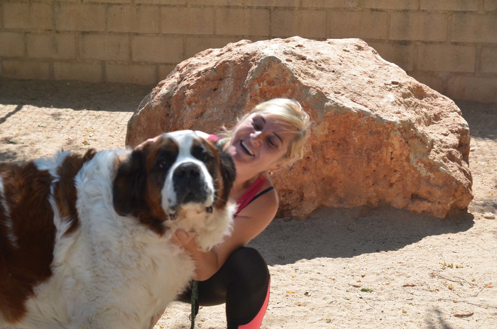 residencia canina granja la luna