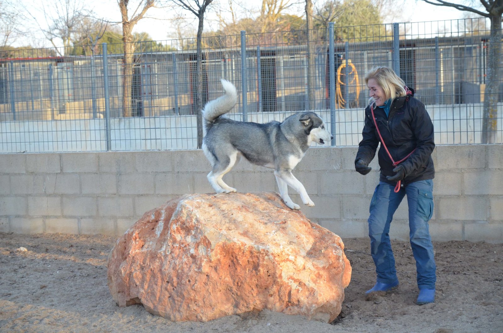 residencia canina granja la luna