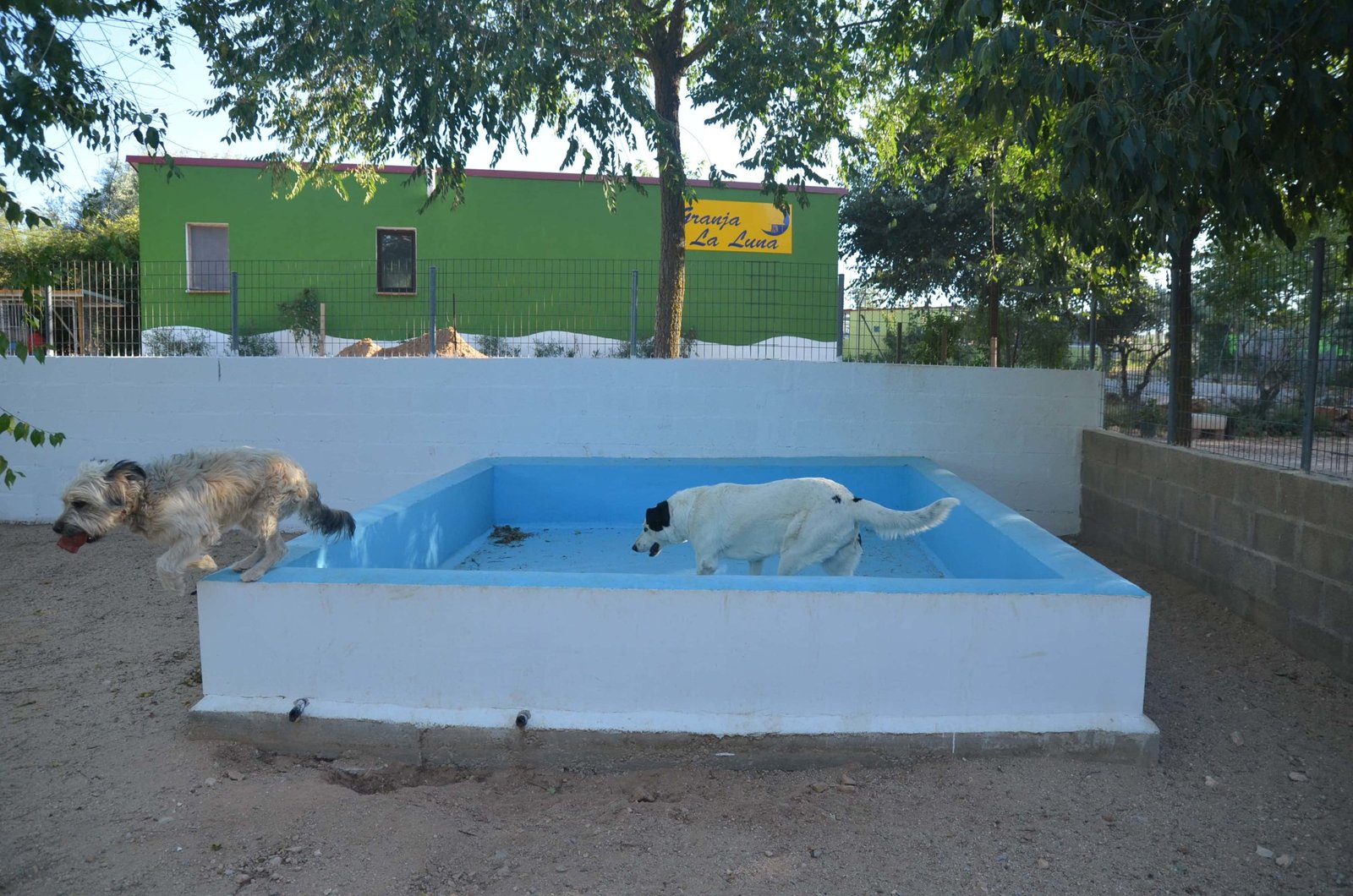 residencia canina granja la luna
