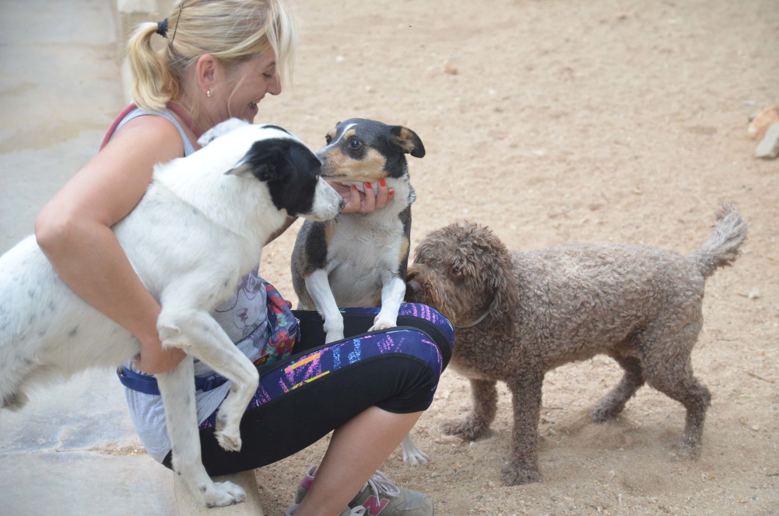 residencia canina granja la luna