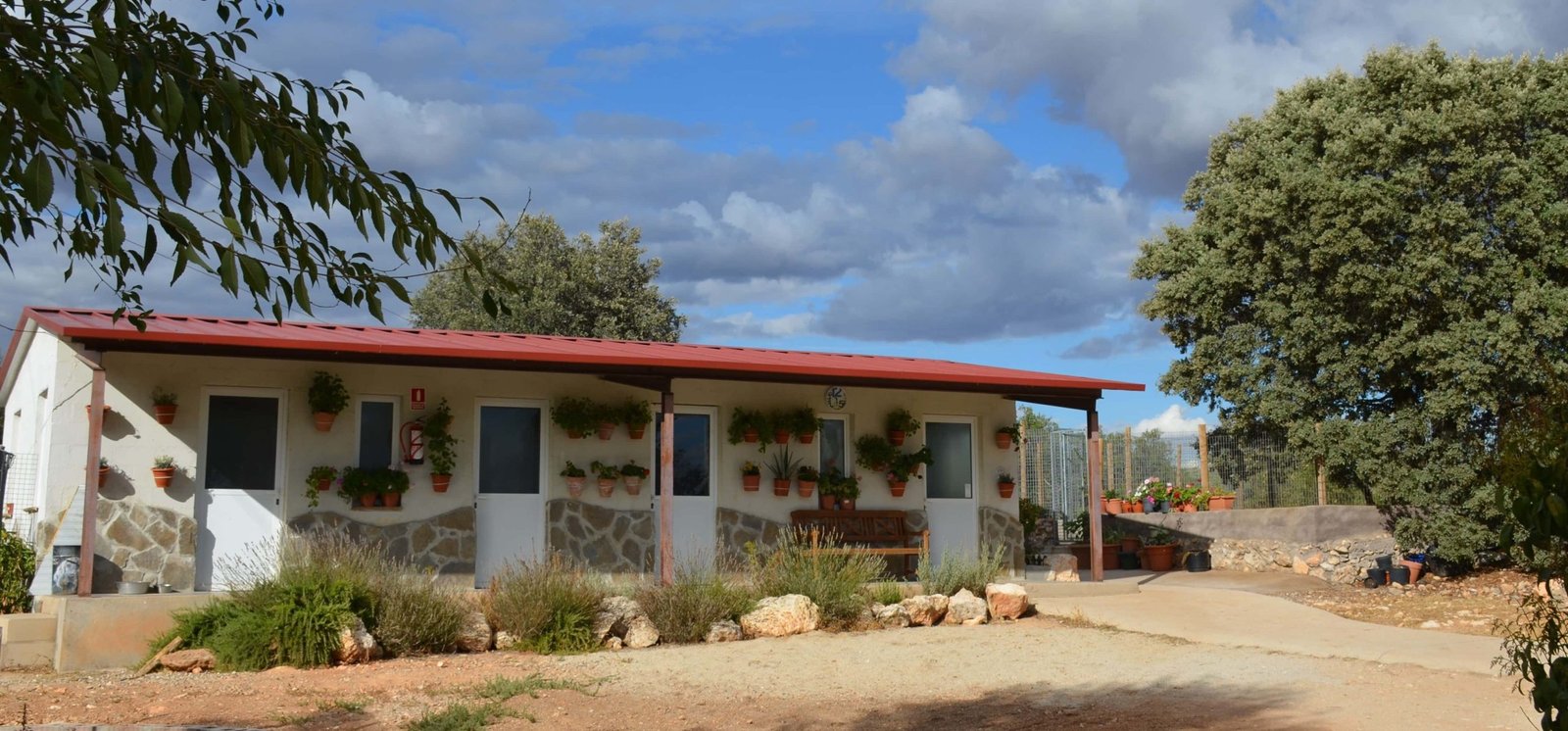 residencia canina granja la luna