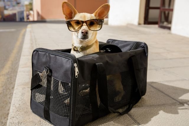 Diseno sin titulo 2 1