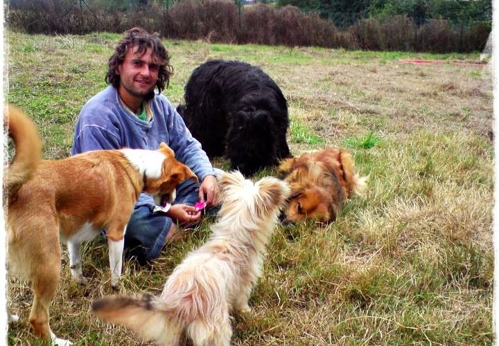 residencia canina basajaun