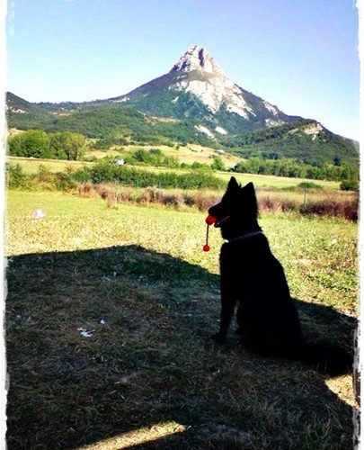residencia canina basajaun
