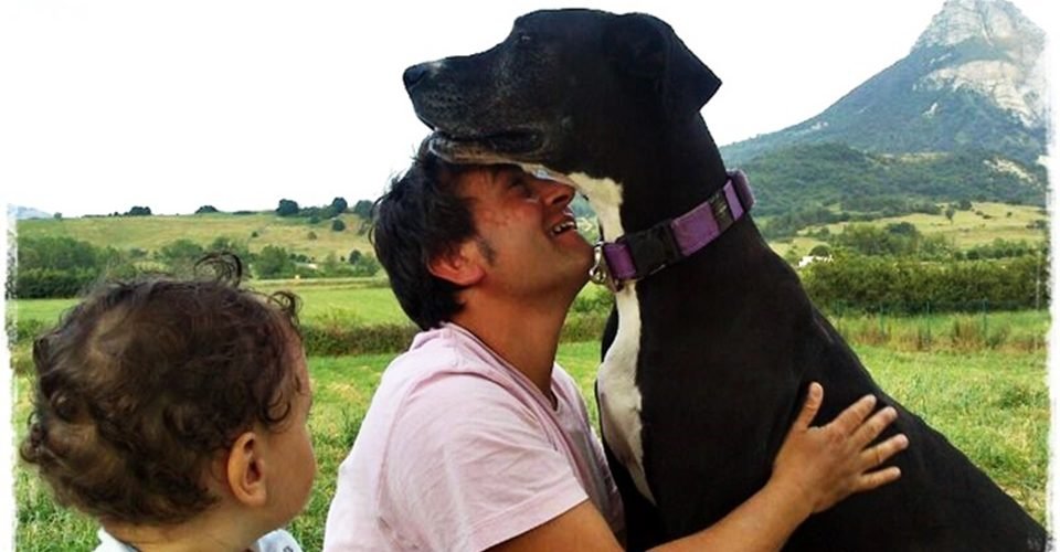 residencia canina basajaun